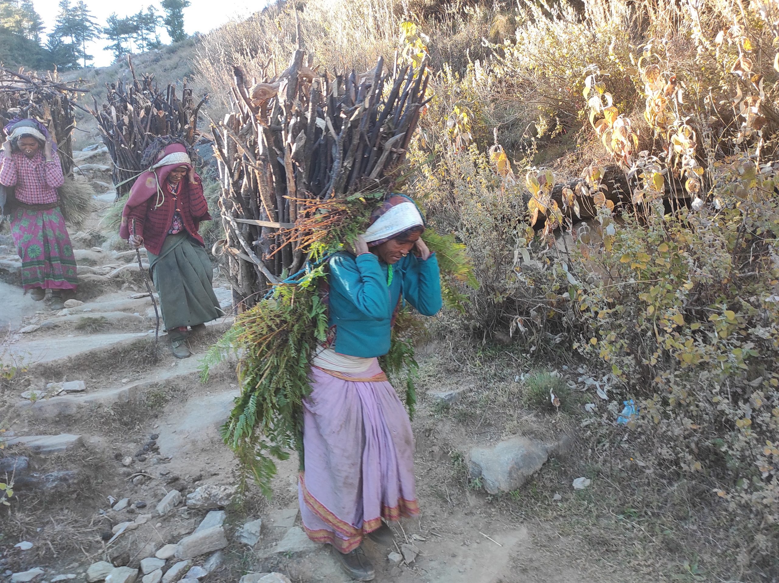 मुगुमा पुरूषभन्दा बढी श्रम महिलाकै काँधमा
