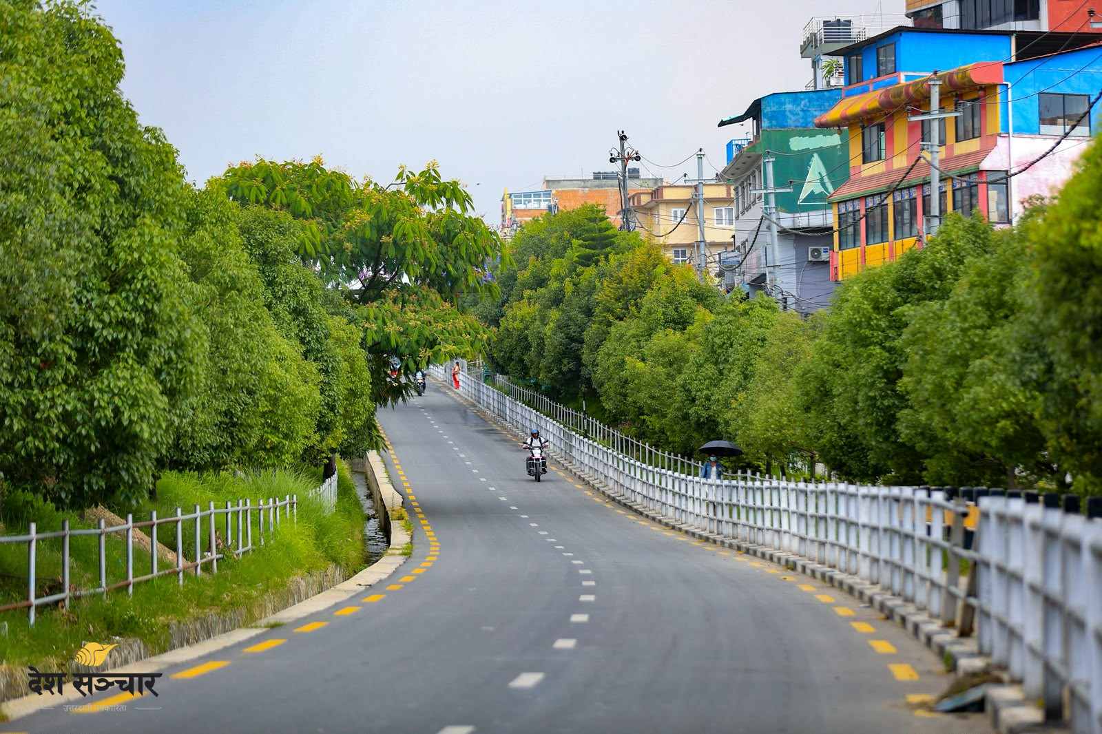 कोटेश्वर-कलंकी सडकखण्ड अन्तर्गत सानेपाको हरियालीले बढायो सहरको सौन्दर्य (तस्बिरहरू)