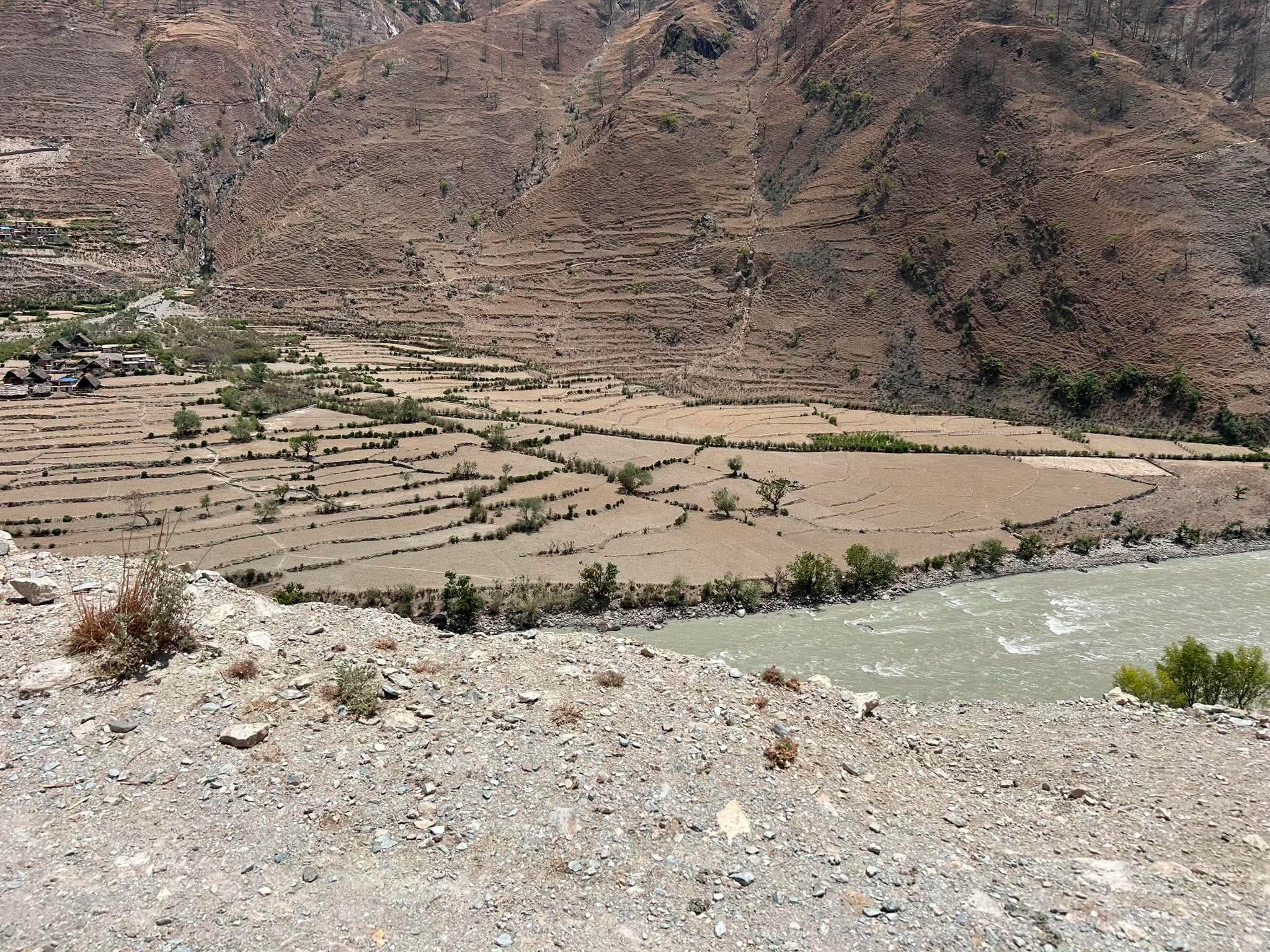 हुम्लामा अझै भएन रोपाइँ